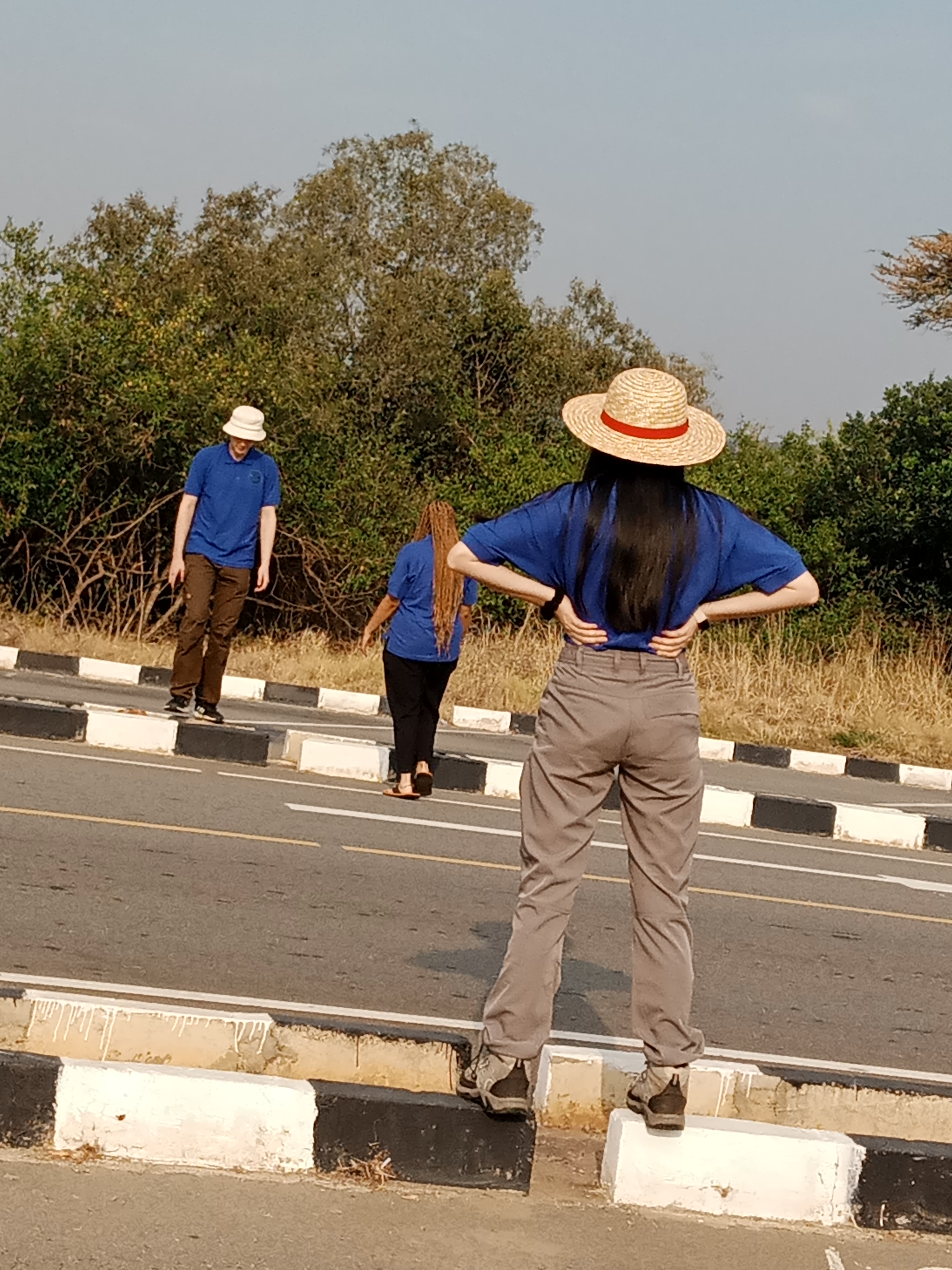 WildMed Safaris